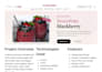 build a modern responsive landing page or fronted website